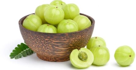 Roast Gooseberry for Cough