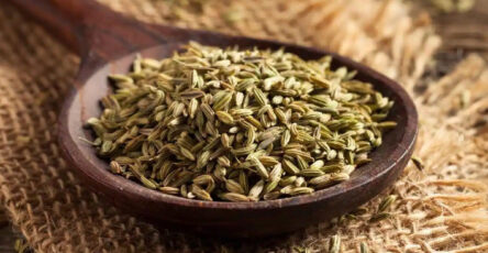 Fennel Seeds Indian Home Remedy