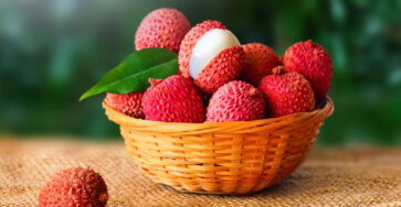 Lychee for Stomach Health