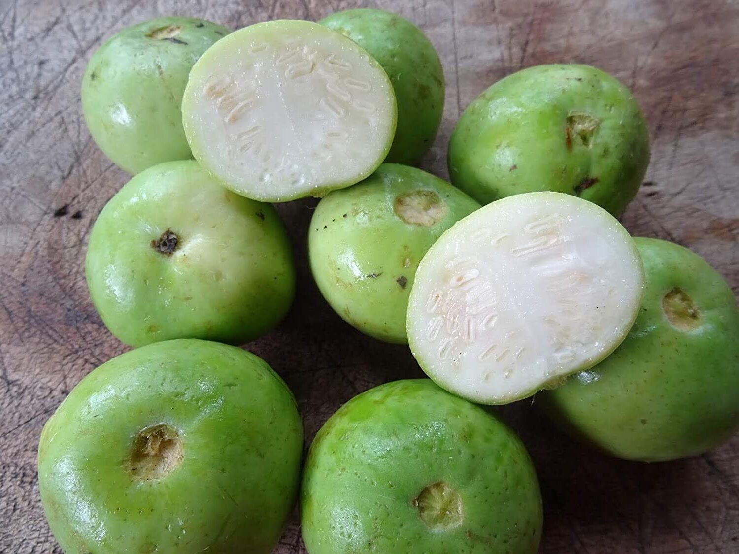 Indian round Gourd